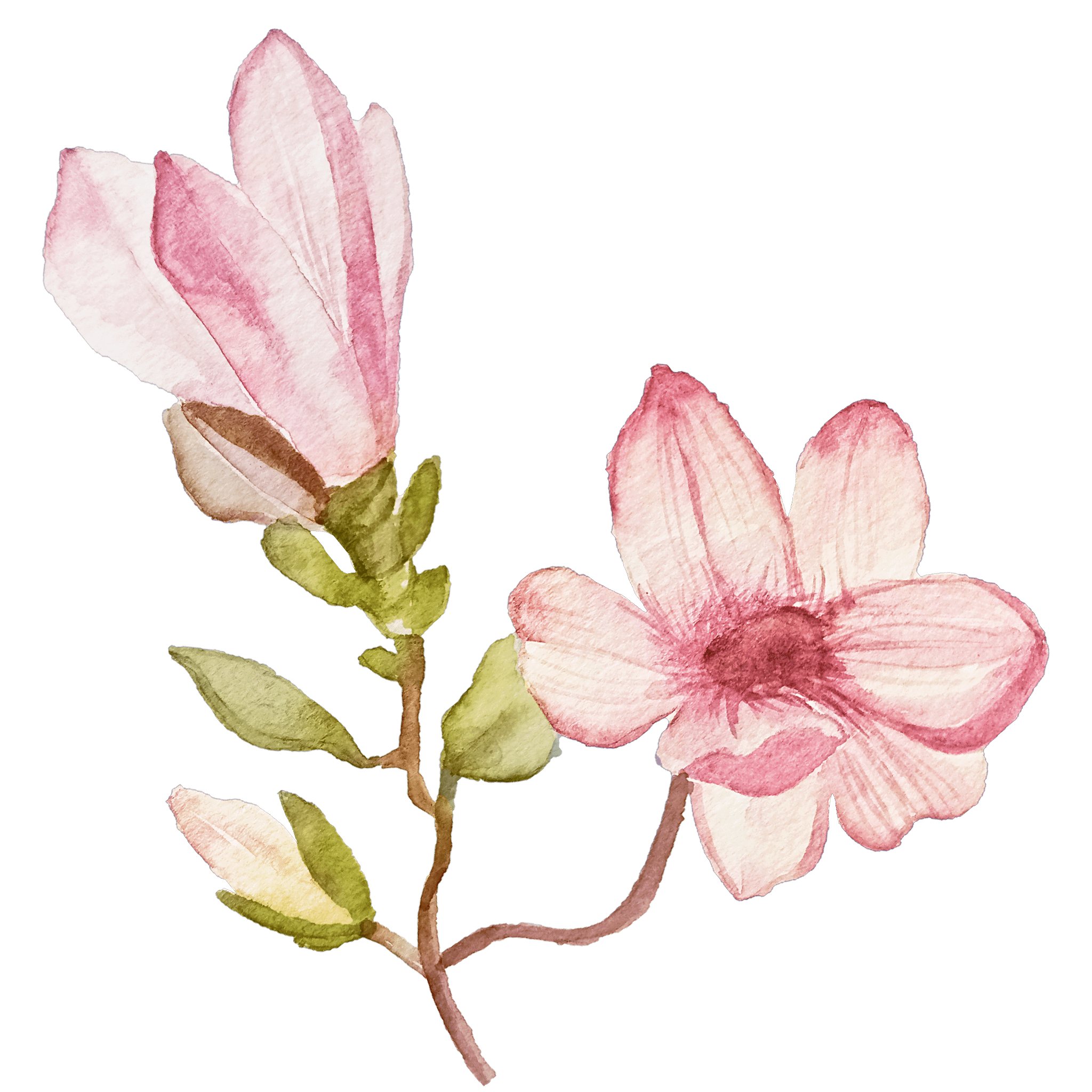 花のイラスト10