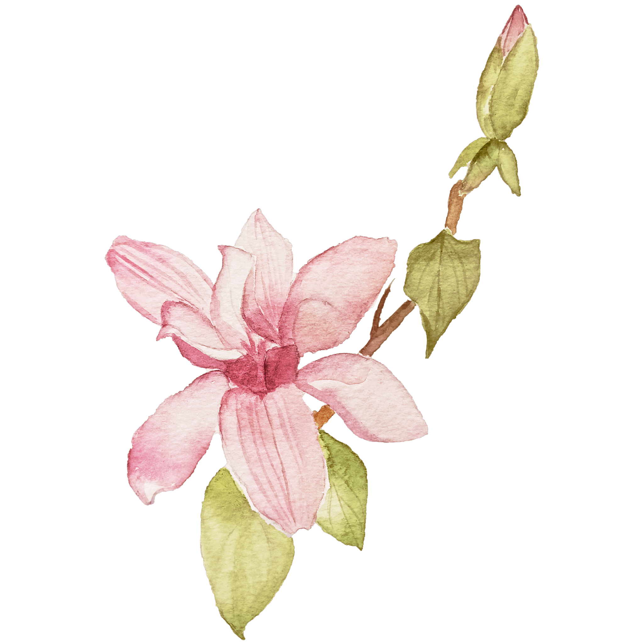 花のイラスト11